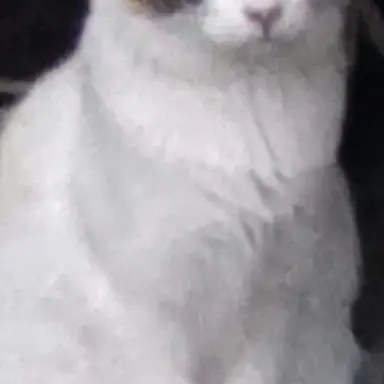 Profile image of 藤澤涼架