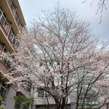 Profile image of 유량