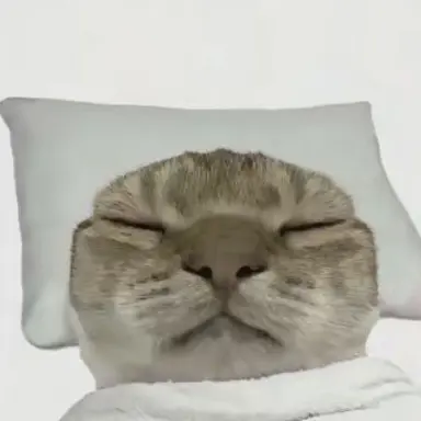 Profile image of 다은