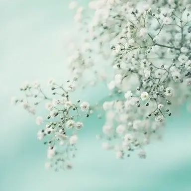 Profile image of 싸이클