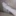 스프런키 고양이 세상