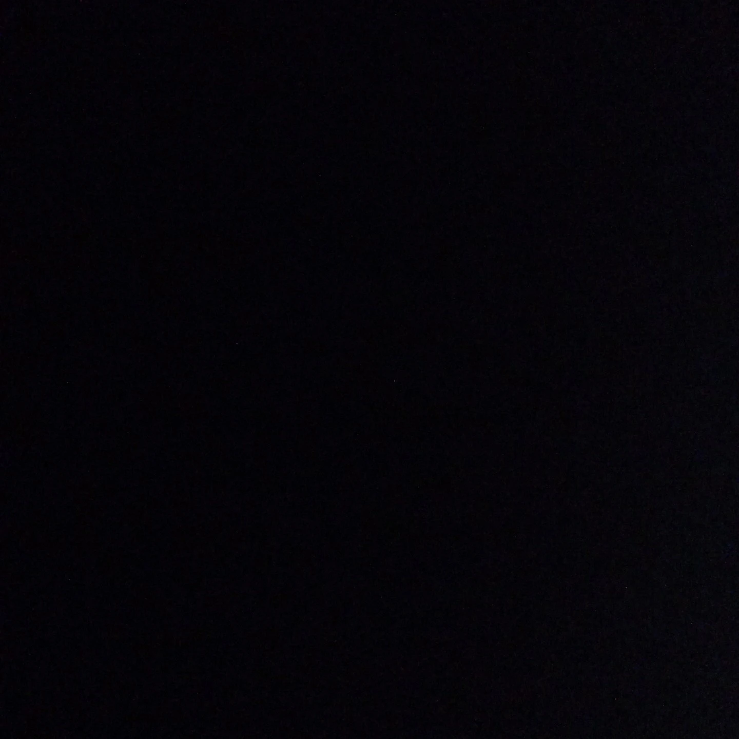 김동현
