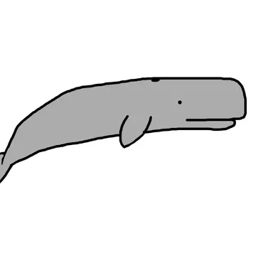Profile image of マッコウクジラ