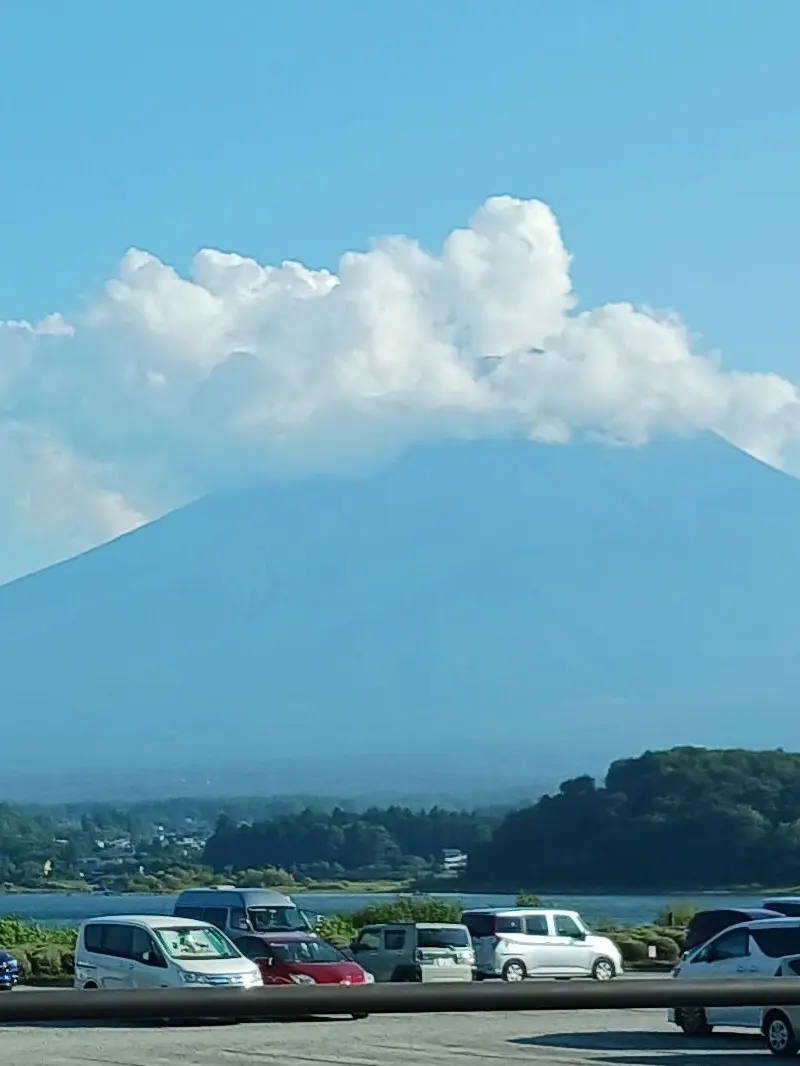 nekonekosasakure의 食べ物で遊ぶのはもうやめだ！