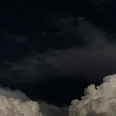 Profile image of 백자현