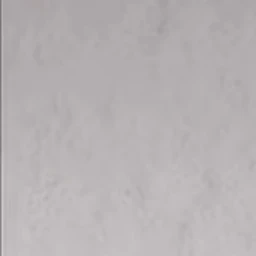 범규