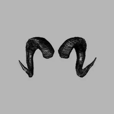 Profile image of 노아
