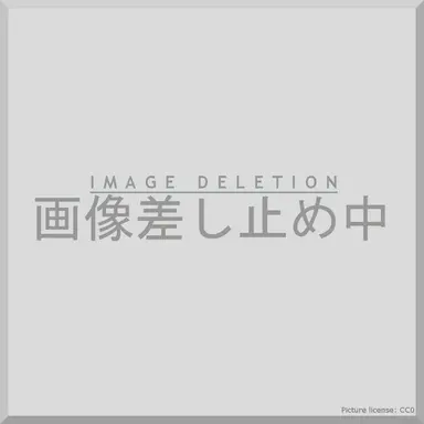 Profile image of 偶像