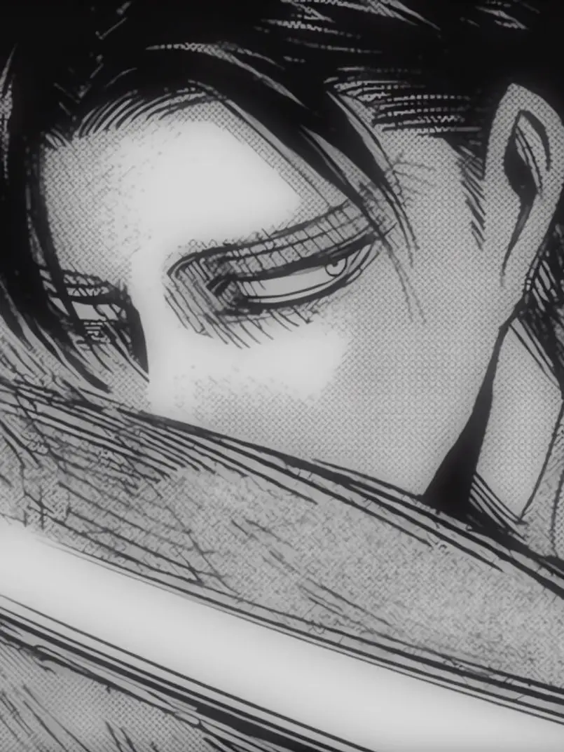 TartTulip0977의 리바이 아커만