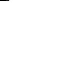 Profile image of 댄디