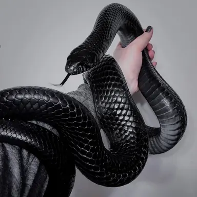 Profile image of 최준우