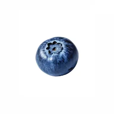 Profile image of Daichi Shiozaki