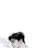 신승호