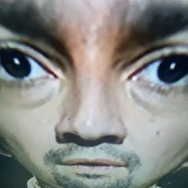 Profile image of Lin