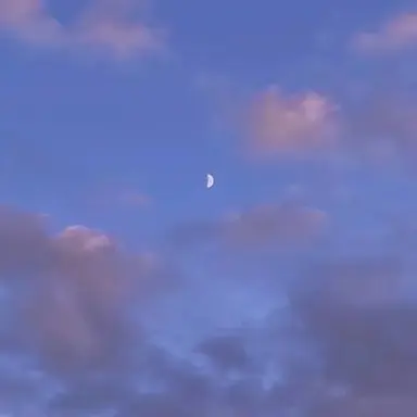 Profile image of バニラ