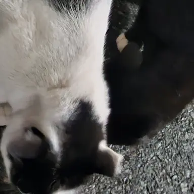 Profile image of 수현