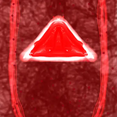 Profile image of 버닝가디언