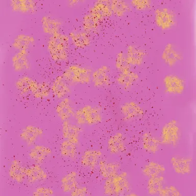 Profile image of 슈가헌터