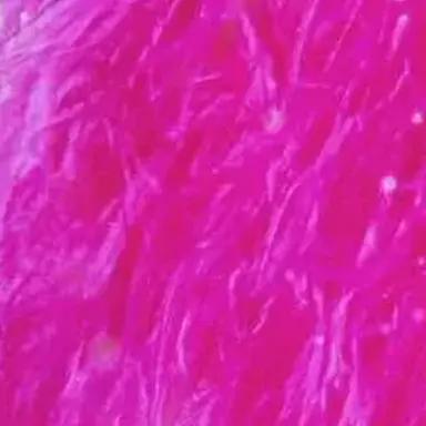 Profile image of 勇斗