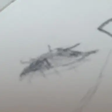 Profile image of ____