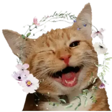 Profile image of 덕개