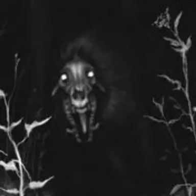 Profile image of 하운드