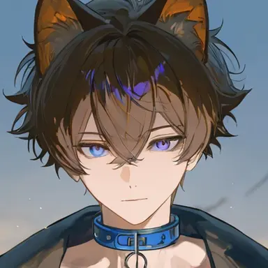 Profile image of 青年のチョコ