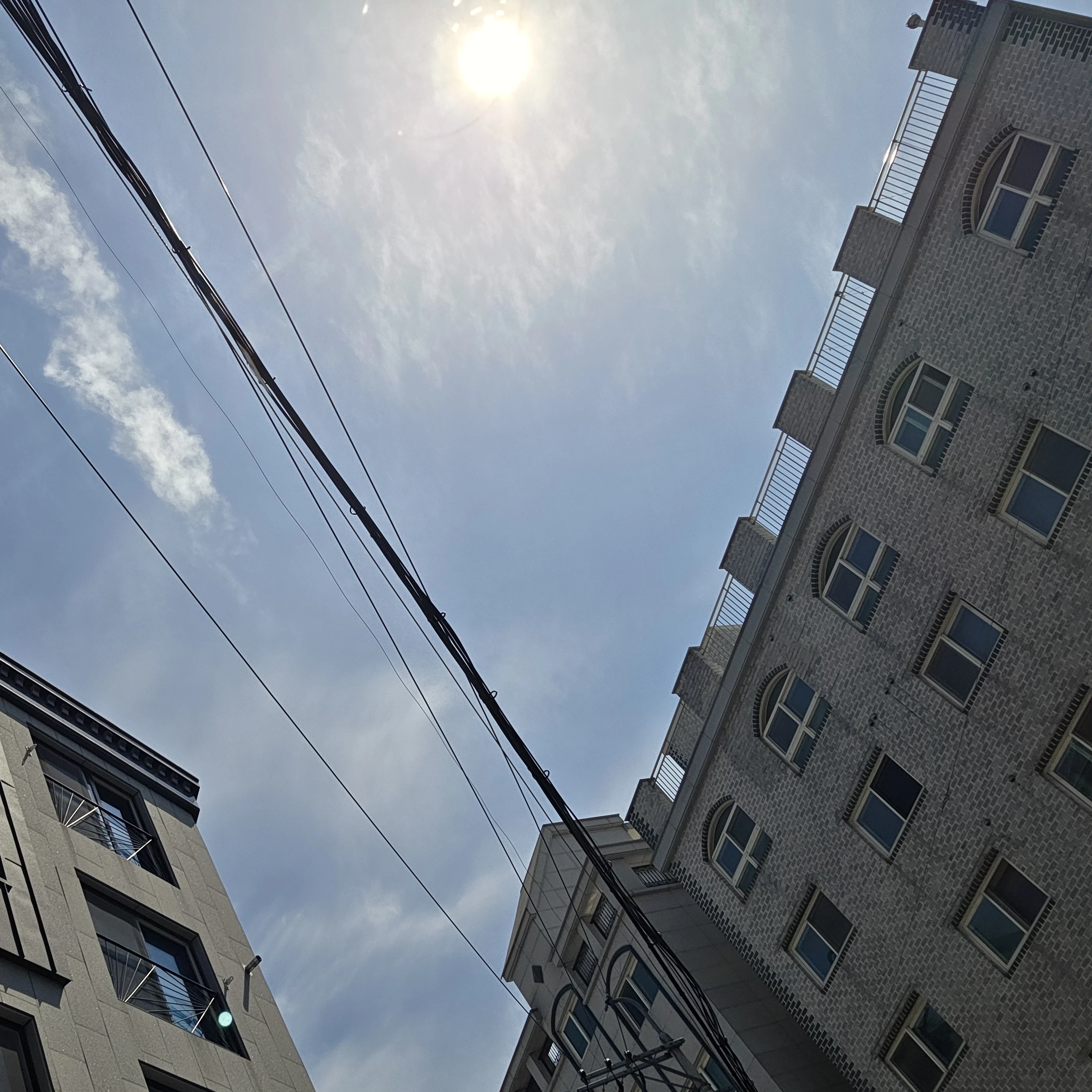 전남친공룡
