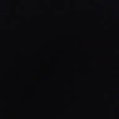 Profile image of 김여우