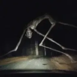 Profile image of Country Road Creature