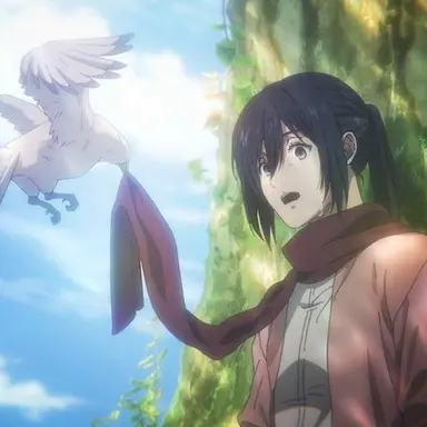 Profile image of 미카사