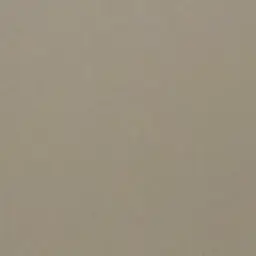BiasedOre0484의 x