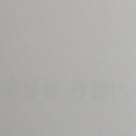 로아 시엘리아