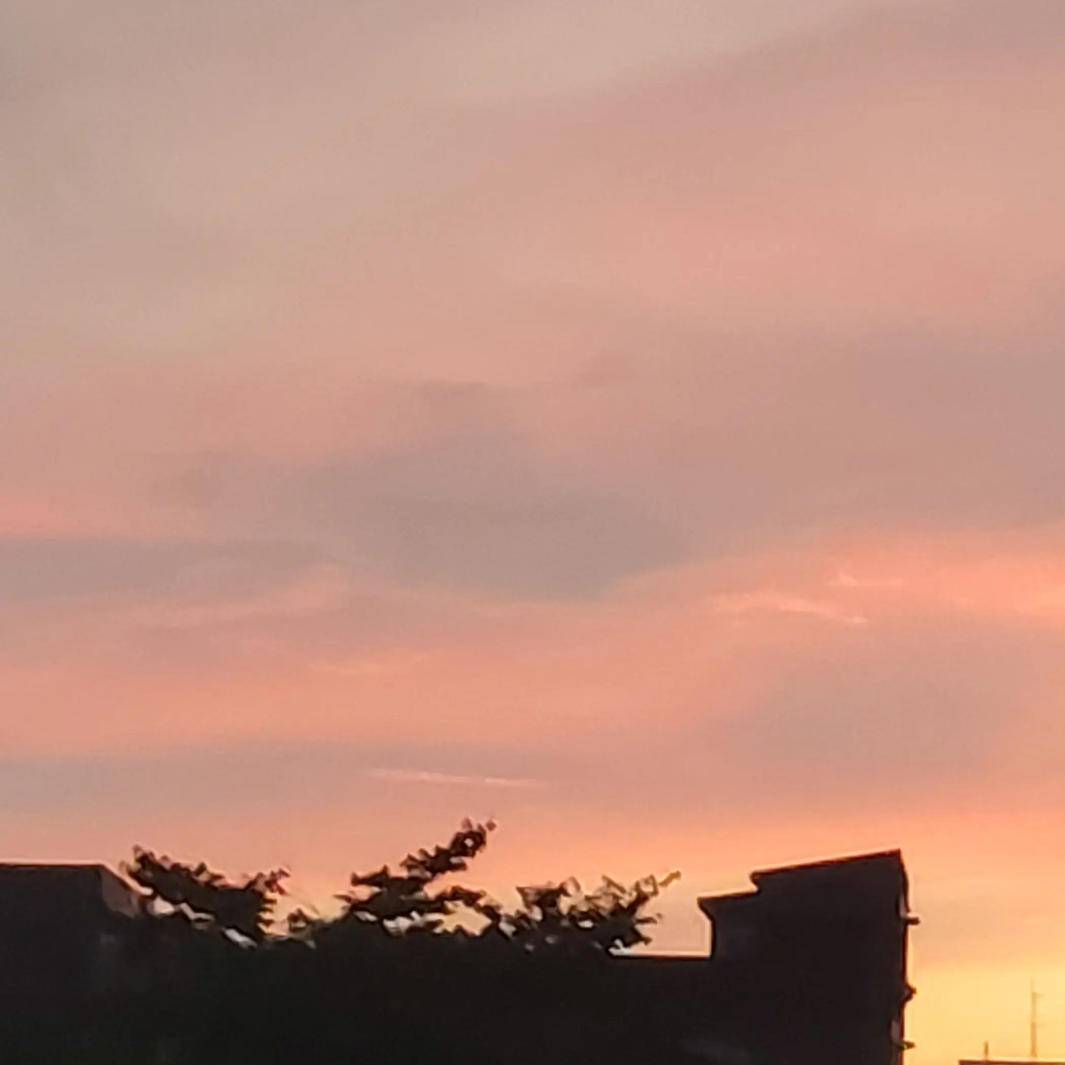 yeonjuniz_lover의 리안