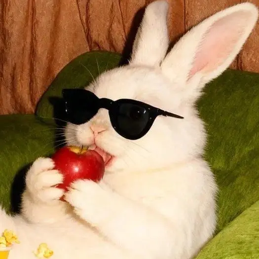 151_167의 I like it