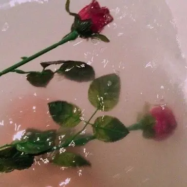 Profile image of 박덕개