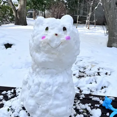 Profile image of 박성호