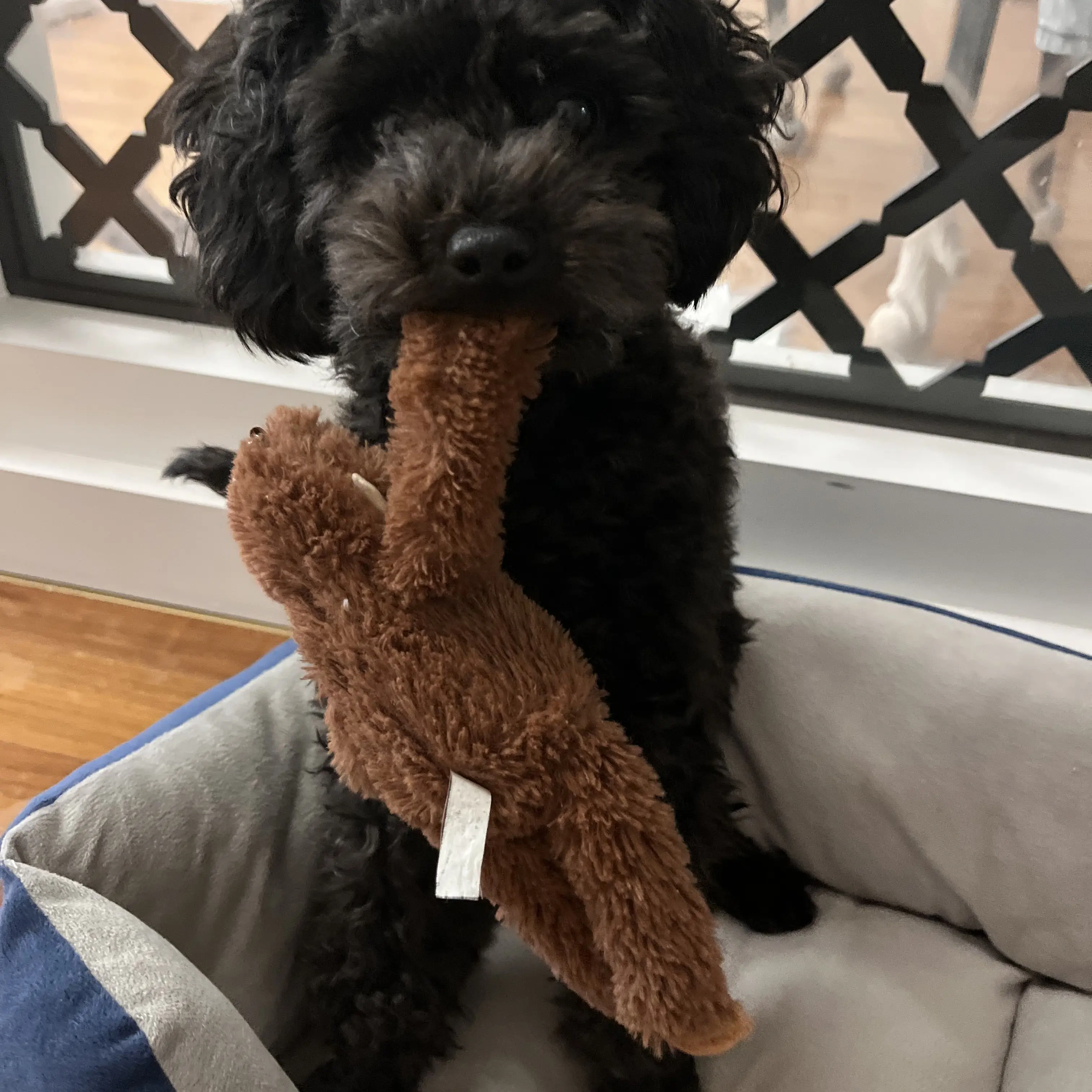 Udoyeoe의 나만 싫어하는 오빠들..