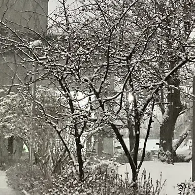 Profile image of 박운학