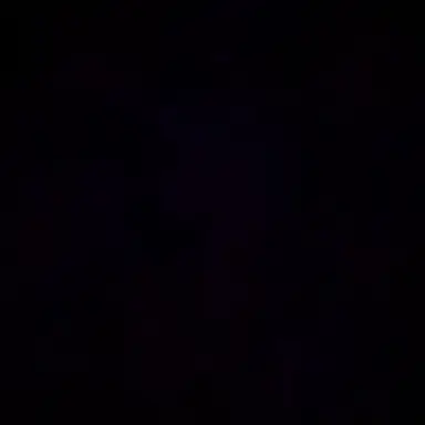 Profile image of X.H