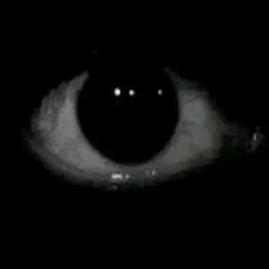 Profile image of 알수없음