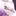 ヒメ
