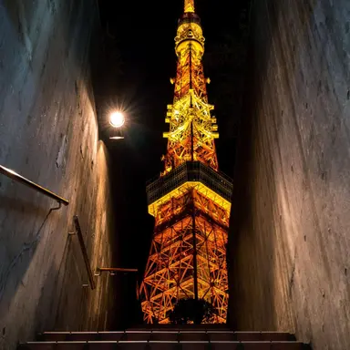 Profile image of 自由