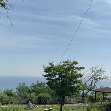 Profile image of 양정인