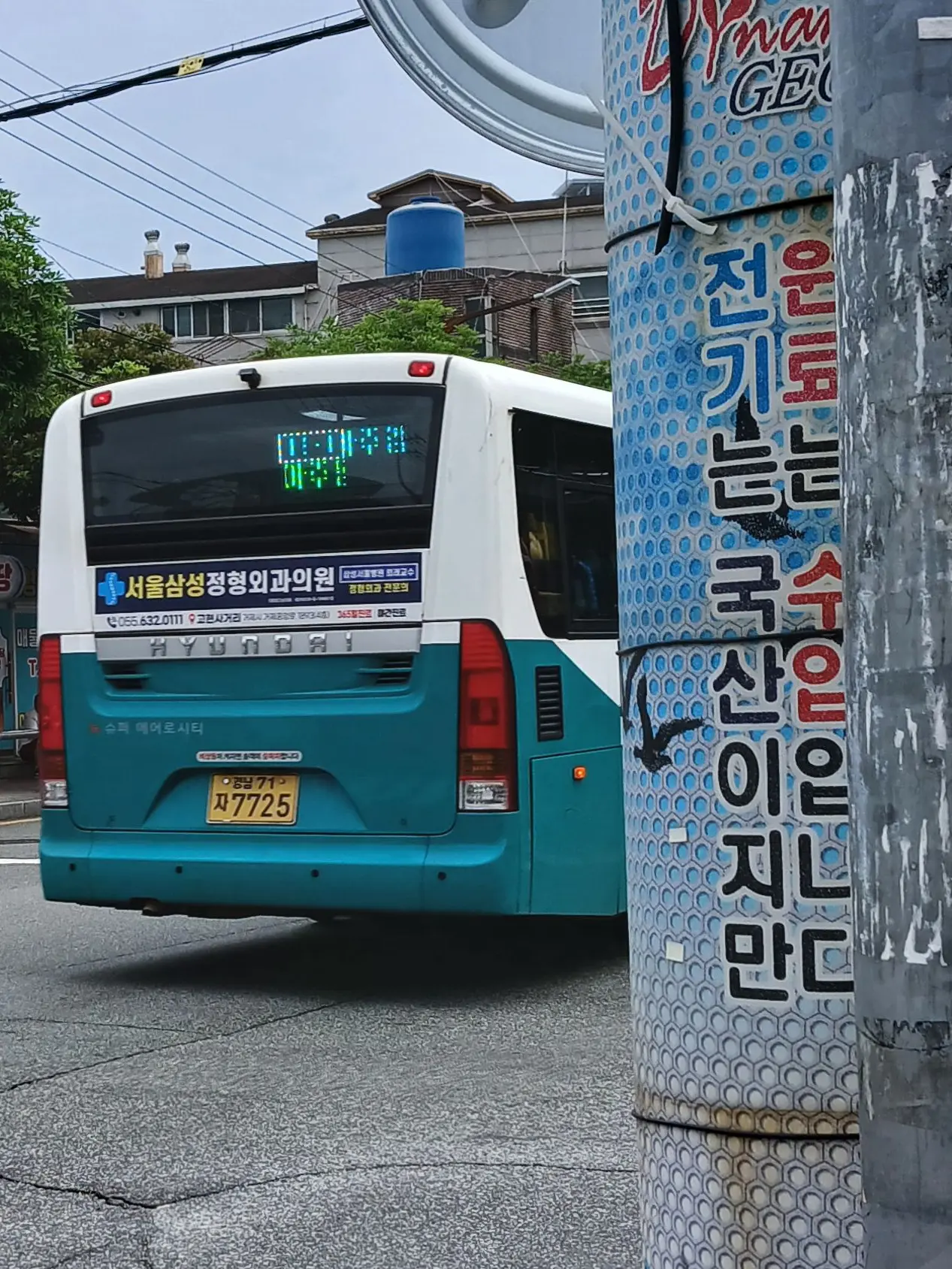 737and737의 성별이 바뀐 버스들💀💀💀