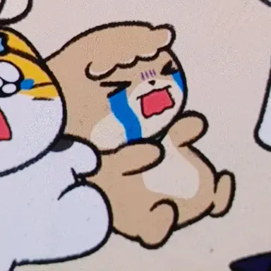 Profile image of 순이