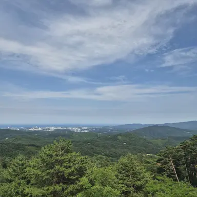 Profile image of 이서아
