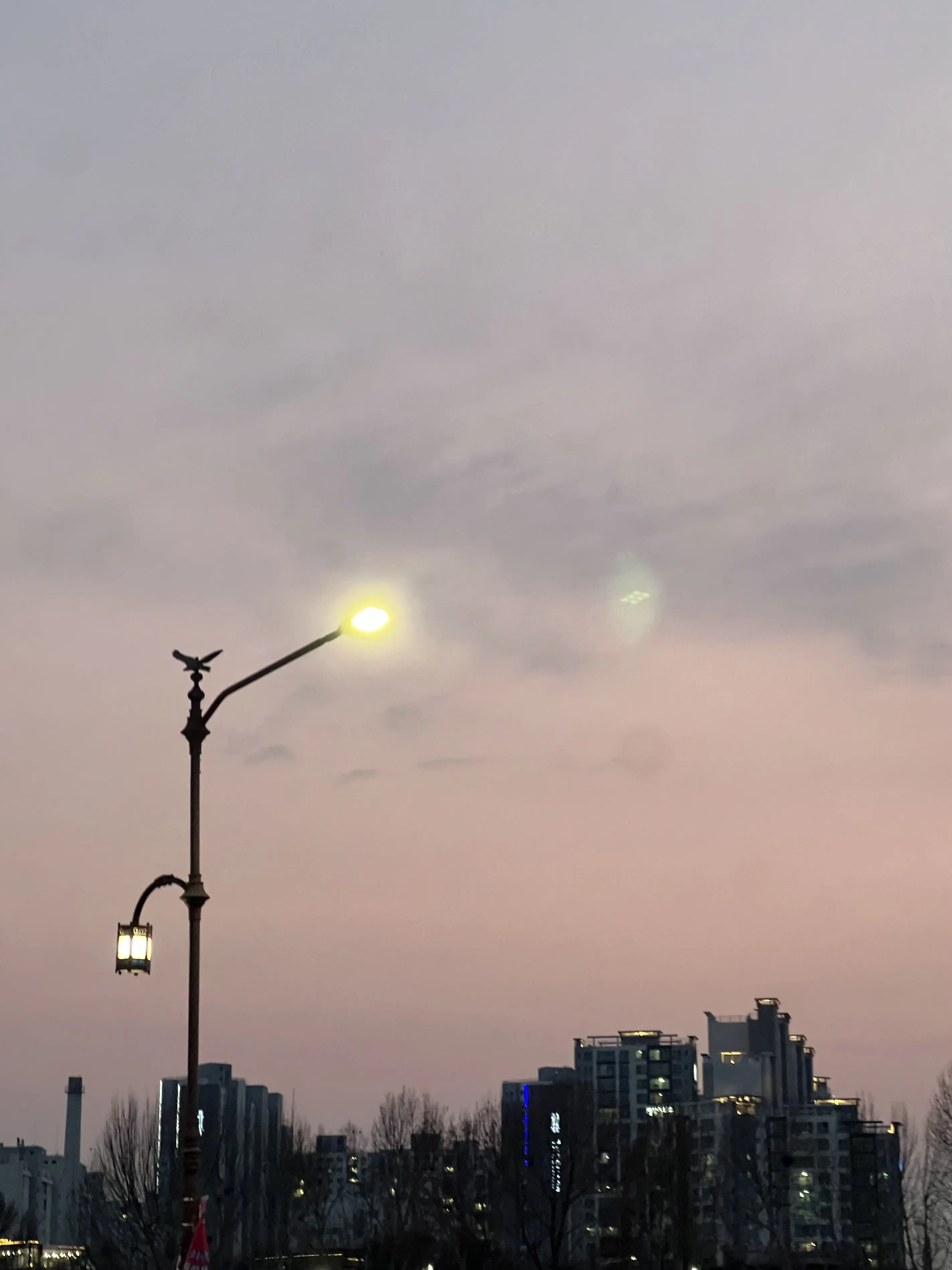 Cruel_summer의 이호성