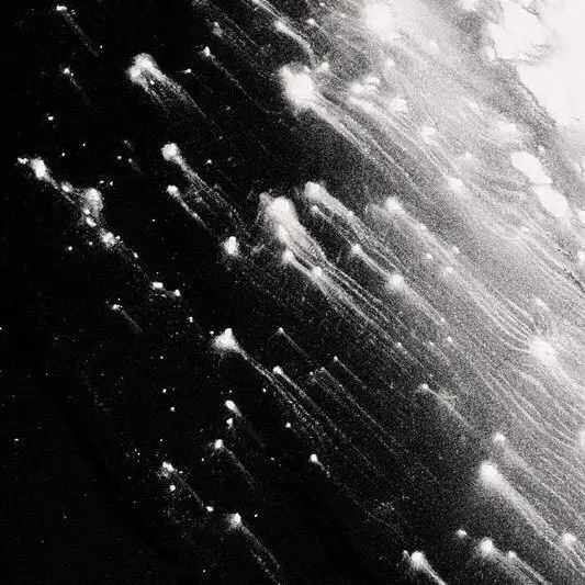 tragicjustification...is의 ­