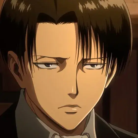 MuteTiger9574의 리바이 아커만